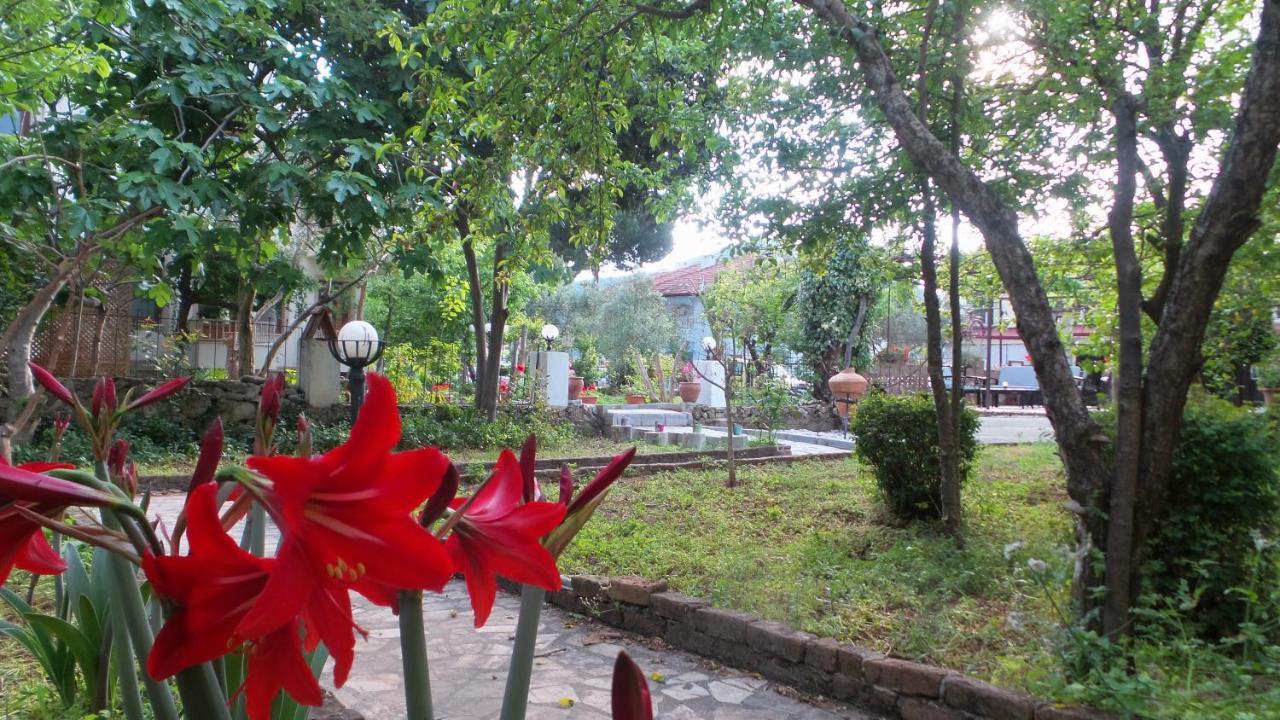 Native Hotel Ovacık Esterno foto